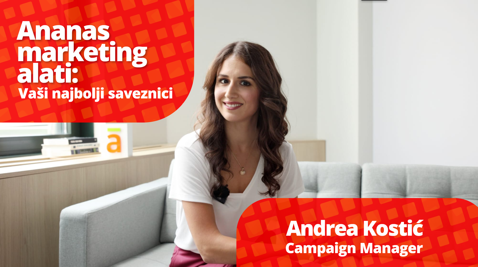 Ananas marketing alati – Vaši najbolji saveznici