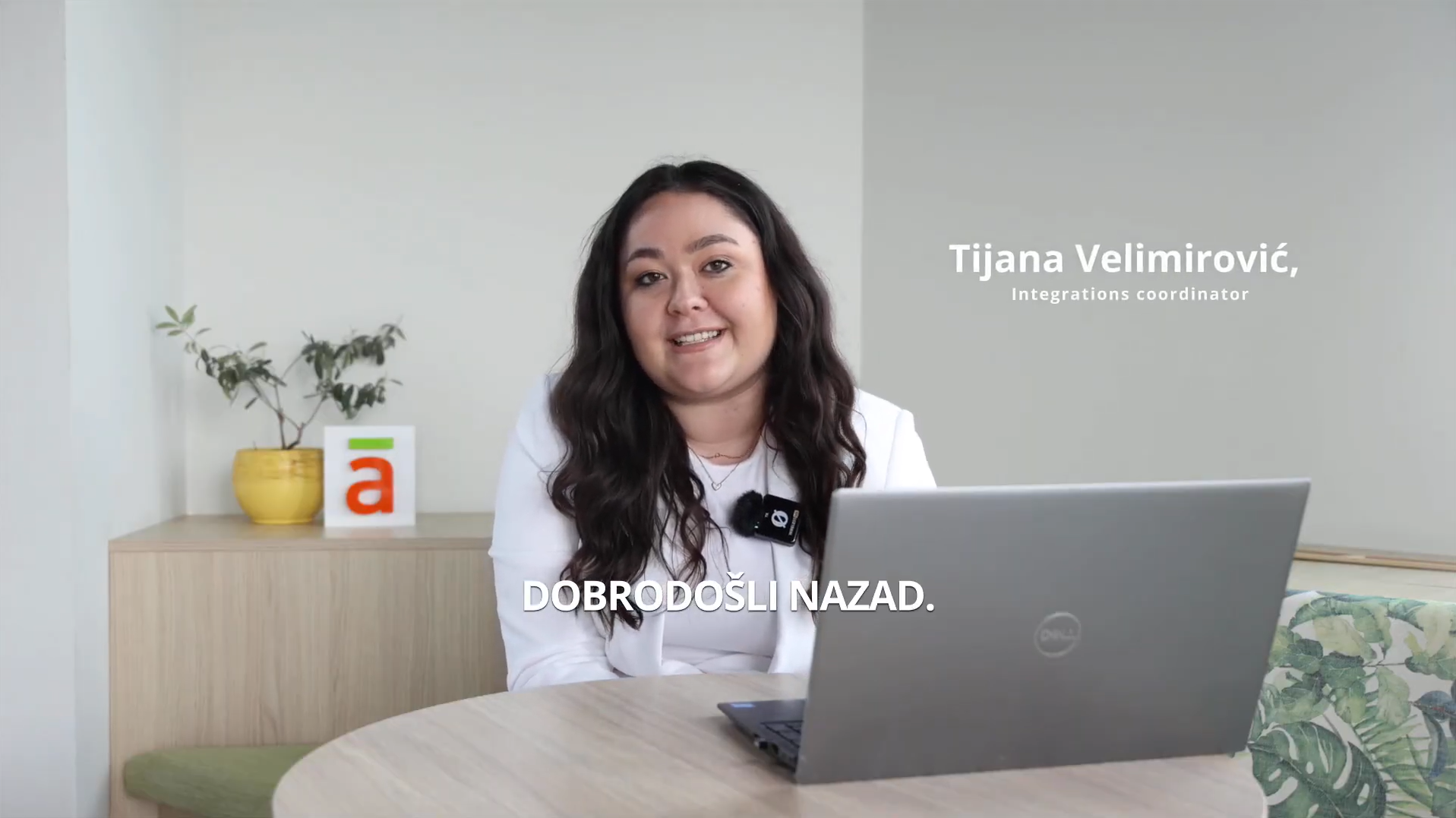 Ananas Public API – Kompletna automatizacija vašeg poslovanja